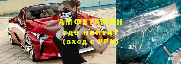 индика Алзамай