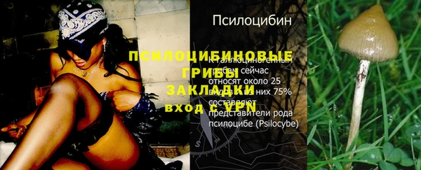 скорость Алексеевка