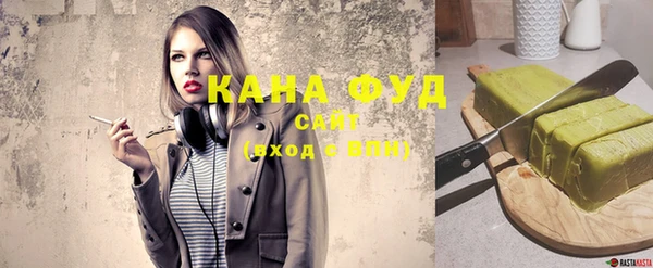 индика Алзамай