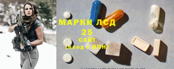 индика Алзамай