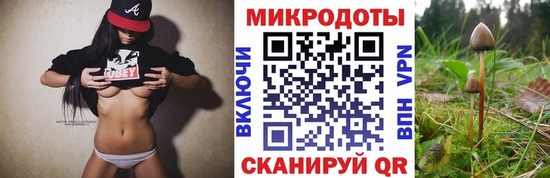 Галлюциногенные грибы Psilocybe  Кяхта 